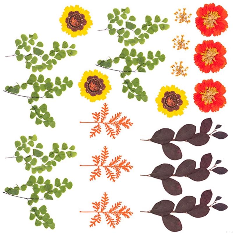 Fiori pressati essiccati per s - Resin Craft Ideas recensione e prezzo