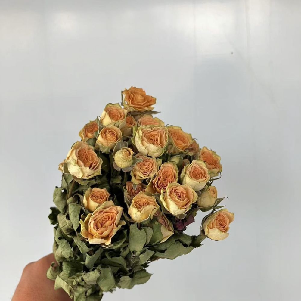Mazzo di rose naturali stabili - Resin Craft Ideas recensione e prezzo